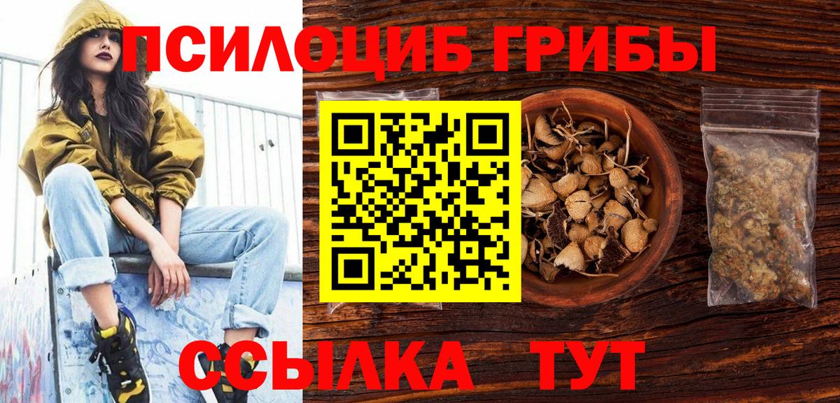 Псилоцибиновые грибы Psilocybine cubensis Бугуруслан